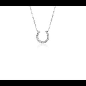 Blue Nile Mini Horseshoe Diamond Necklace